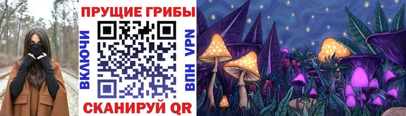 купить  цена  Топки  Псилоцибиновые грибы Cubensis 